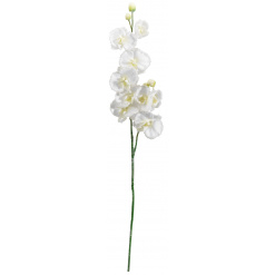 Orchidea dekoráció