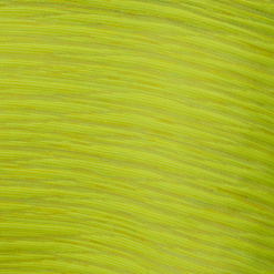 Tányéralátét Glow